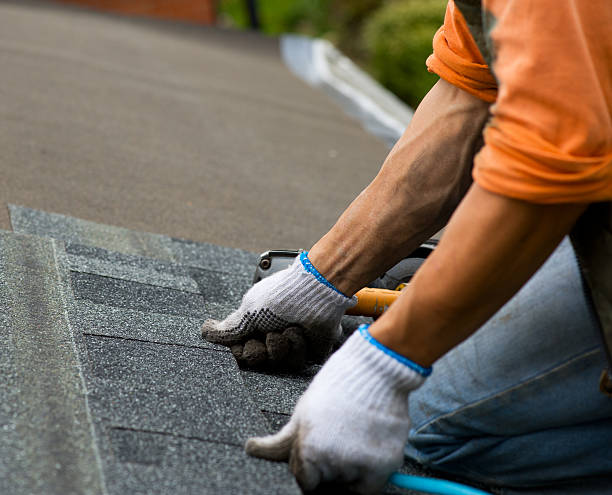 Best Roof Restoration Services  in Castle Point, MO